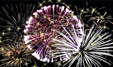 Das Team vom Bergschlösschen wünscht allen Besuchern der Homepage einen guten und vor allem gesunden Rutsch in das neue Jahr 2026!